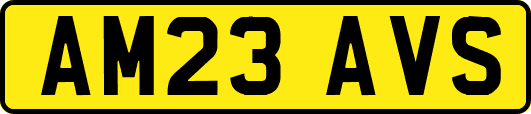 AM23AVS