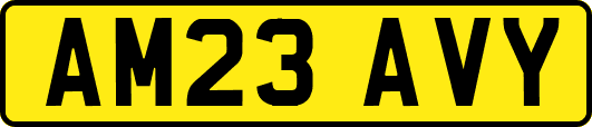 AM23AVY