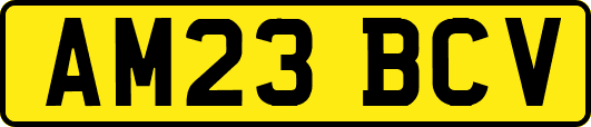 AM23BCV