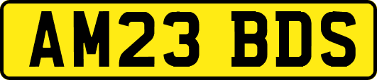 AM23BDS