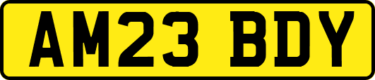 AM23BDY