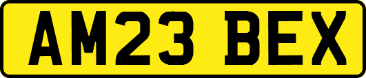 AM23BEX