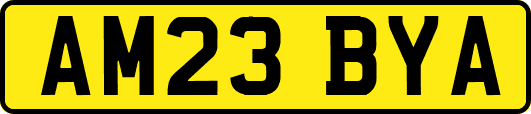 AM23BYA
