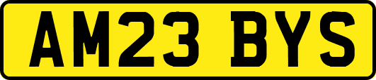 AM23BYS