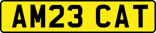 AM23CAT