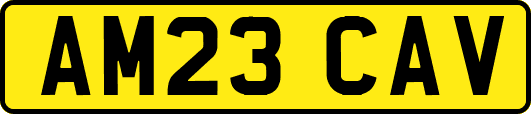 AM23CAV