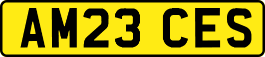 AM23CES