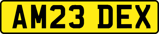 AM23DEX
