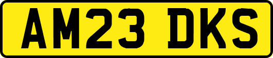 AM23DKS