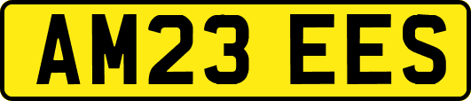 AM23EES