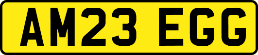 AM23EGG