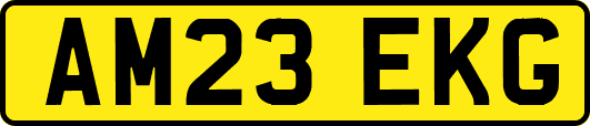 AM23EKG