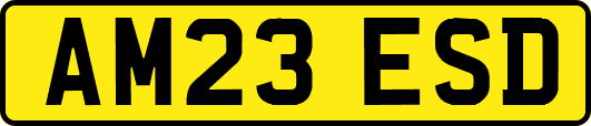 AM23ESD