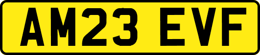 AM23EVF