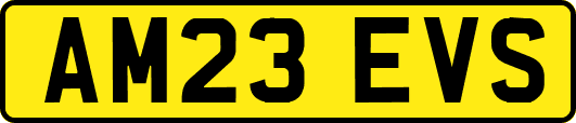 AM23EVS