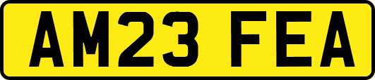 AM23FEA
