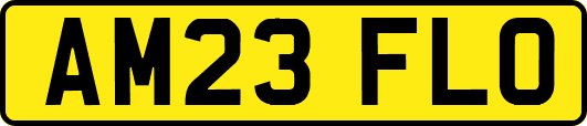 AM23FLO