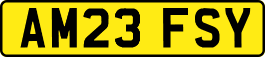 AM23FSY