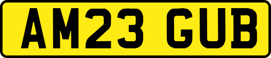 AM23GUB