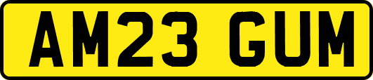 AM23GUM