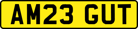 AM23GUT