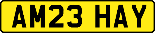 AM23HAY