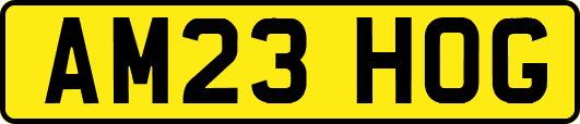 AM23HOG