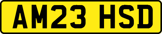 AM23HSD