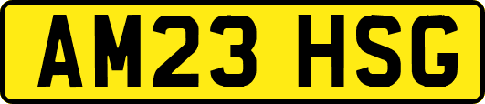 AM23HSG