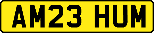 AM23HUM