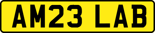 AM23LAB