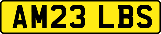 AM23LBS
