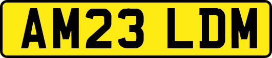 AM23LDM
