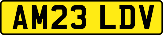 AM23LDV