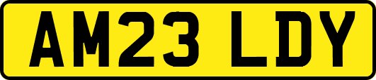 AM23LDY