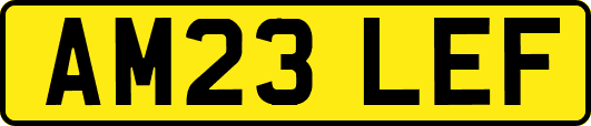 AM23LEF