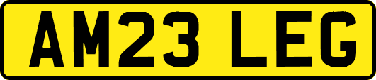 AM23LEG