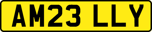AM23LLY