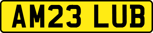 AM23LUB