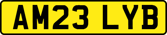 AM23LYB