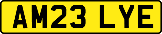 AM23LYE