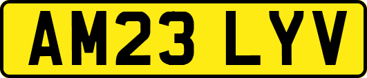 AM23LYV