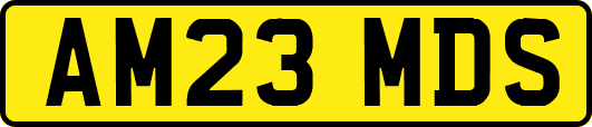 AM23MDS