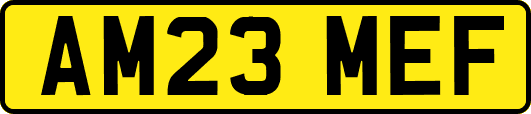 AM23MEF