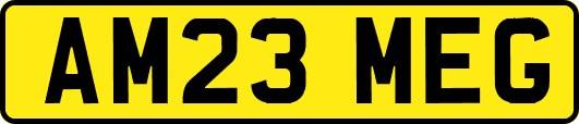 AM23MEG