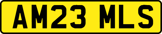 AM23MLS