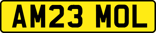 AM23MOL