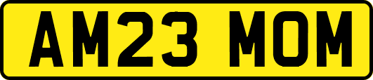 AM23MOM