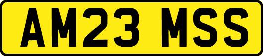 AM23MSS
