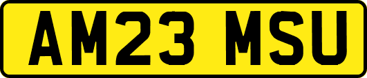 AM23MSU